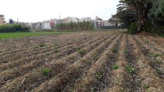 Rural plot  Barranquete - patiño nº sn. Solvia inmobiliaria  suelo otros murcia