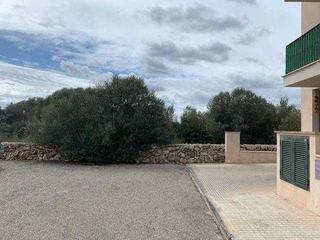 Fondo rustico  Cl l'escamarla 6. Solvia inmobiliaria  suelo otros manacor