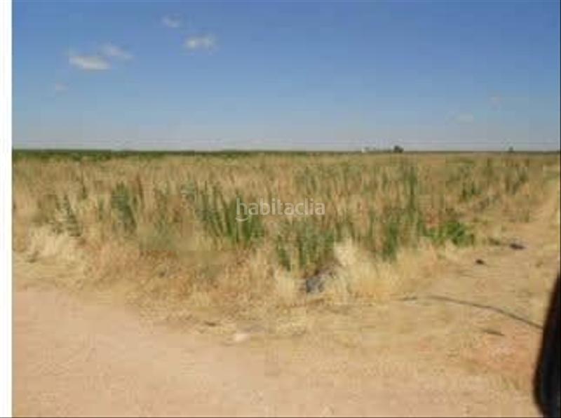 Foto 17e63d7b-ed6e-4c35-933c-ae4dccd768ba. Finca rústica solvia inmobiliaria terreno con edificación en Socuéllamos
