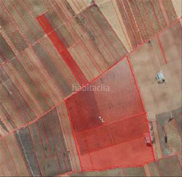 Foto a755d68c-cfd0-4bc2-a314-845292a05716. Finca rústica solvia inmobiliaria terreno con edificación en Socuéllamos