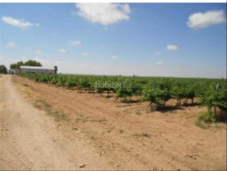 Foto ad844bc8-f16f-4a02-83d2-e84786d7727e. Finca rústica solvia inmobiliaria terreno con edificación en Socuéllamos