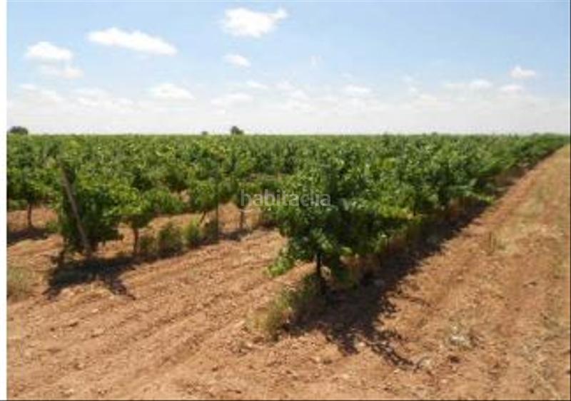 Foto b16c55b6-8381-4fac-bcd4-0bf36f293a3a. Finca rústica solvia inmobiliaria terreno con edificación en Socuéllamos