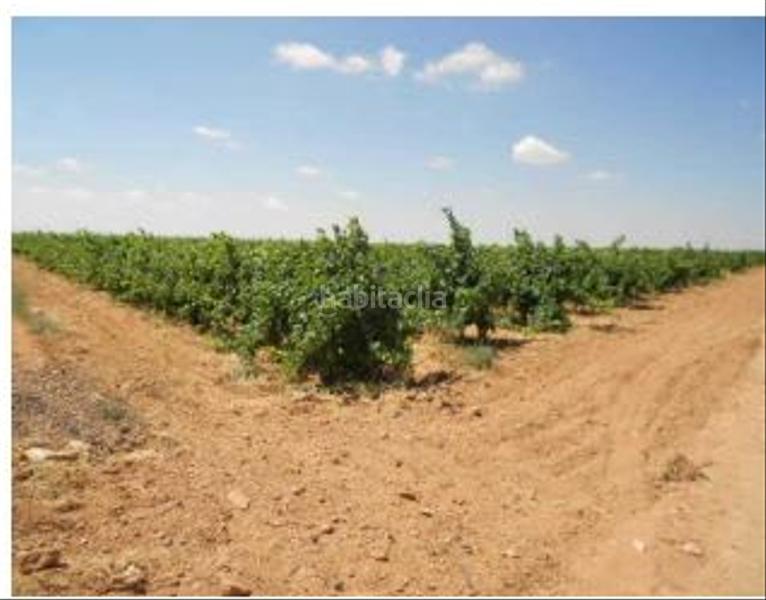 Foto e1aa132c-a7f0-4b20-b877-1bf1ddb7b60b. Finca rústica solvia inmobiliaria terreno con edificación en Socuéllamos