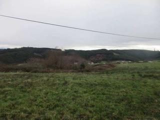 Fondo rustico  Sitio mies de prado, sierra de cumbreo, y la churra. Solvia inmobiliaria  suelo otros piélagos