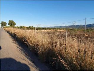 Finca rústica  Paraje el boticario bloq. poligono 6           00076. Solvia inmobiliaria  terreno con edificación librilla