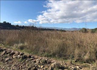 Finca rústica  Pr fuente de la morera nº s/n. Solvia inmobiliaria  terreno con edificación montroy