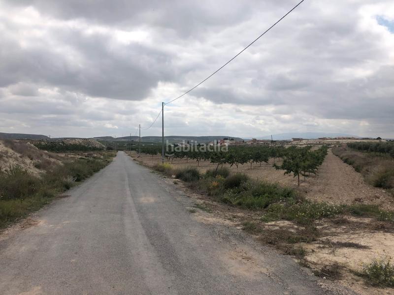 Foto 20e3ea79-a8c1-46b2-8e07-1a7188415858. Finca rústica a Mula