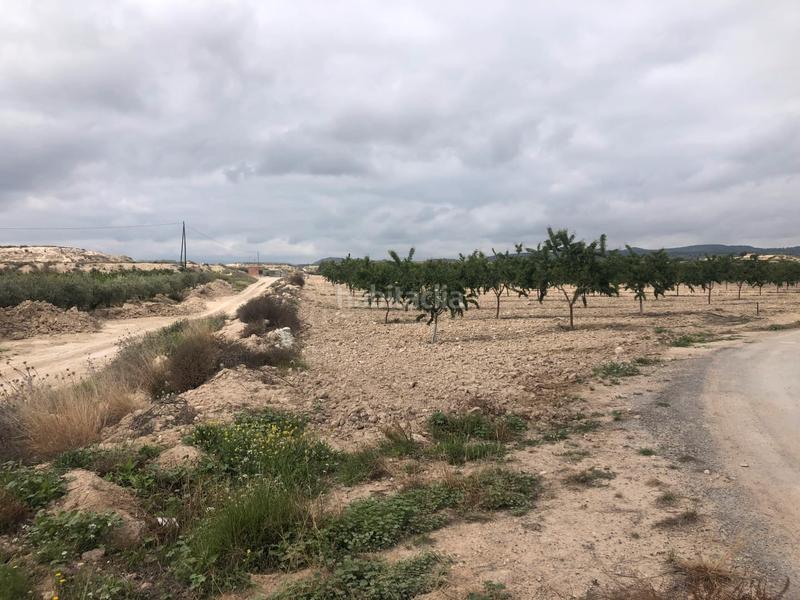Foto 69b8d325-ab46-4147-a1c8-edde334565a2. Finca rústica a Mula