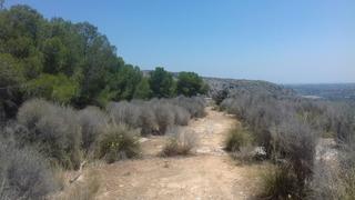 Finca rústica  Cl manuel siurut nº 28 00758. Solvia inmobiliaria  suelo otros torrent