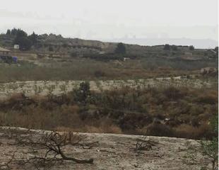 Finca rústica  Pj cañada morterete nº 8. Solvia inmobiliaria  terreno con edificación alguazas