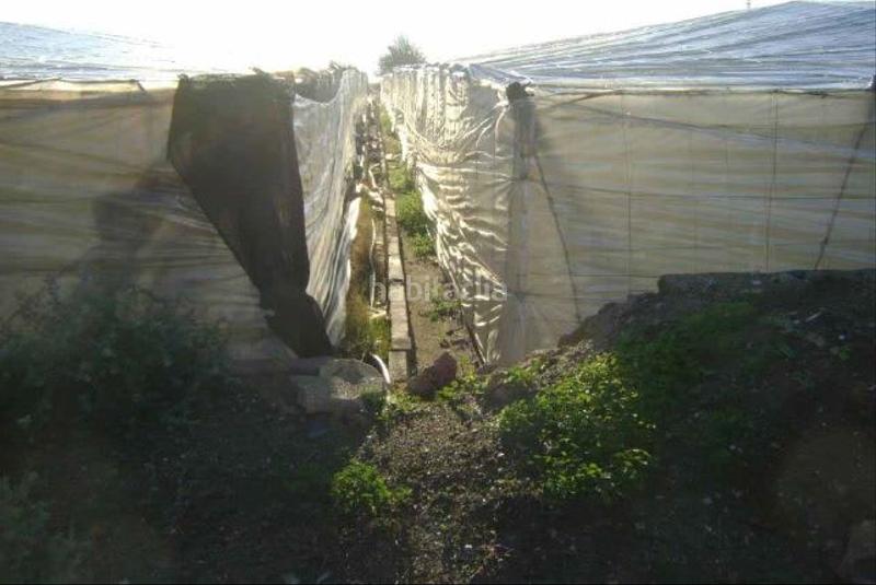 Foto 82c314e6-2803-4536-8626-ea2ca87bd940. Finca rústica solvia inmobiliaria suelo rústico en Níjar