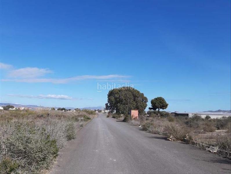 Foto 989d99f7-bc54-4092-8d28-140845c23ce6. Finca rústica solvia inmobiliaria suelo rústico en Níjar