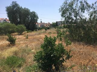 Fondo rustico  C/ colón. Solvia inmobiliaria  suelo otros alhama de murcia