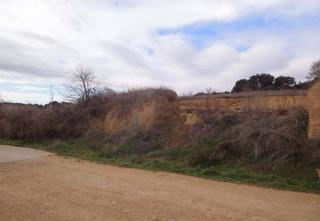 Rural plot  Ca/ los planos. Solvia inmobiliaria  suelo otros siétamo