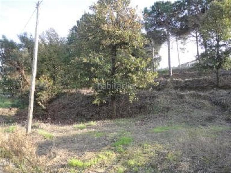 Foto 0e98d373-9027-4f41-8b38-66f0d321372f. Rural plot in Montbarbat Maçanet de la Selva