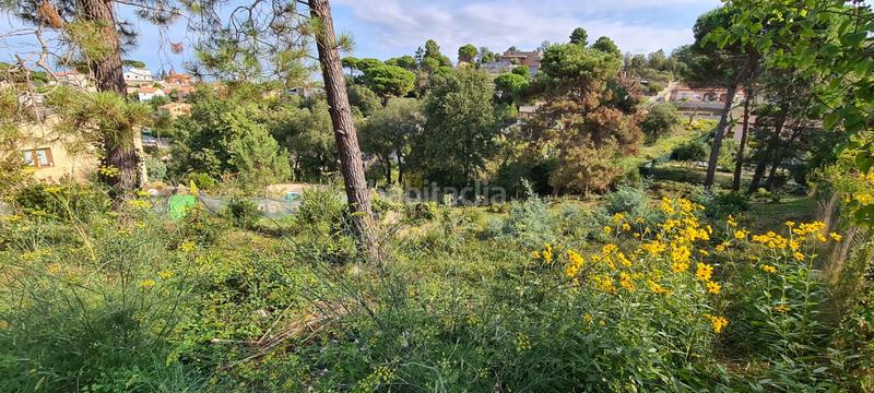 Foto 784d14a1-3501-45ea-86ec-3078ab656a8c. Rural plot in Montbarbat Maçanet de la Selva