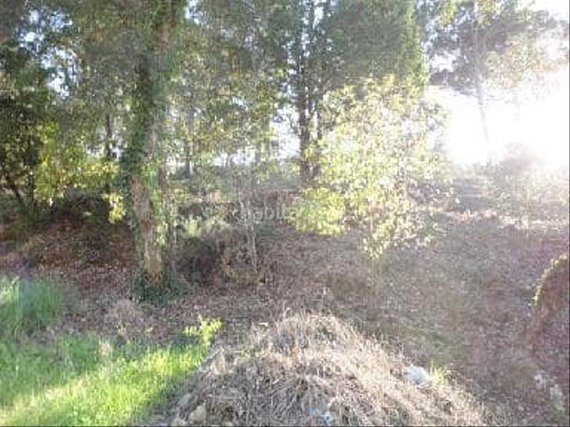 Foto b2739dd2-d092-435d-9df3-ba847979cf44. Rural plot in Montbarbat Maçanet de la Selva