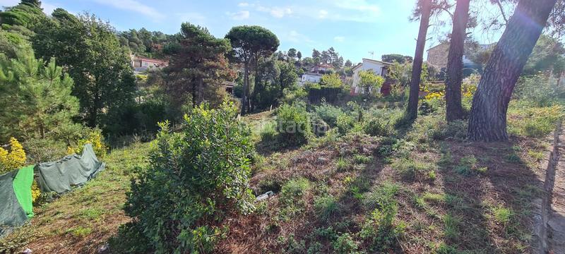 Foto c2d342c1-f989-43c2-b501-0cceb7cee738. Rural plot in Montbarbat Maçanet de la Selva