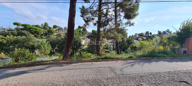 Foto db8c81c8-6ab5-4b7b-b258-6c7dbd1e2a02. Rural plot in Montbarbat Maçanet de la Selva