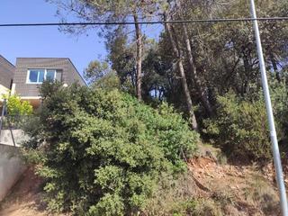 Rural plot  Pa/ dels ocells parcela. Solvia inmobiliaria  suelo otros caldes de montbui