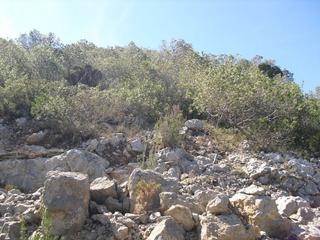 Fondo rustico  C/ isla mancolibre. Solvia inmobiliaria  suelo rústico alcalà de xivert