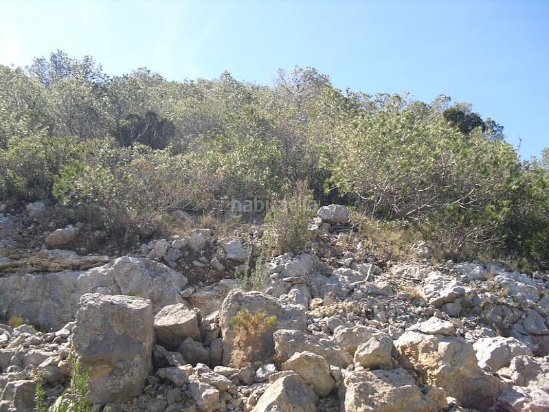 Foto 3548710e-da61-44d7-879a-35c257f8f1cd. Finca rústica a Alcossebre