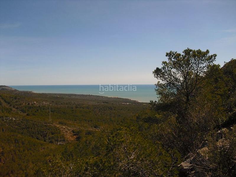 Foto 69cd9916-29ea-4ada-957a-8607395ff761. Finca rústica a Alcossebre