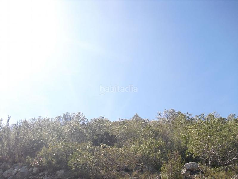 Foto bb0412cf-300e-4a89-99d6-b3be7571c481. Finca rústica a Alcossebre