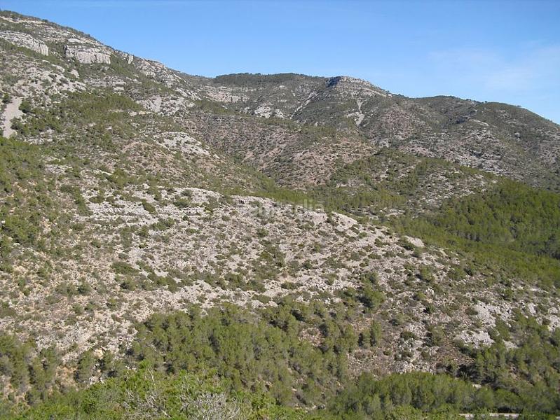 Foto d2bd71b2-f3f6-44f7-8a2c-959ca4a84e88. Finca rústica a Alcossebre