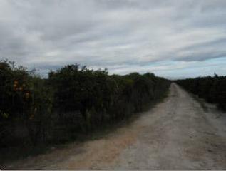 Finca rústica  Part/ les jovades. Solvia inmobiliaria  suelo otros albalat de la ribera