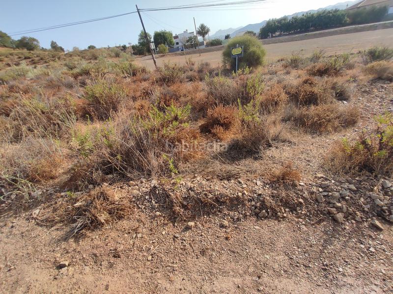 Foto 381edf67-a658-4fec-82f9-825d9e50af3f. Landgut in Almogía