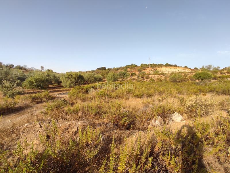 Foto 4a4bde88-a0be-41fd-a162-25bea640c414. Landgut in Almogía