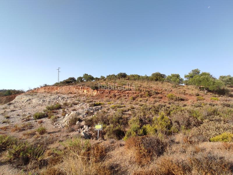 Foto 71116117-5aa6-4367-90e8-cd5f11f83f42. Landgut in Almogía