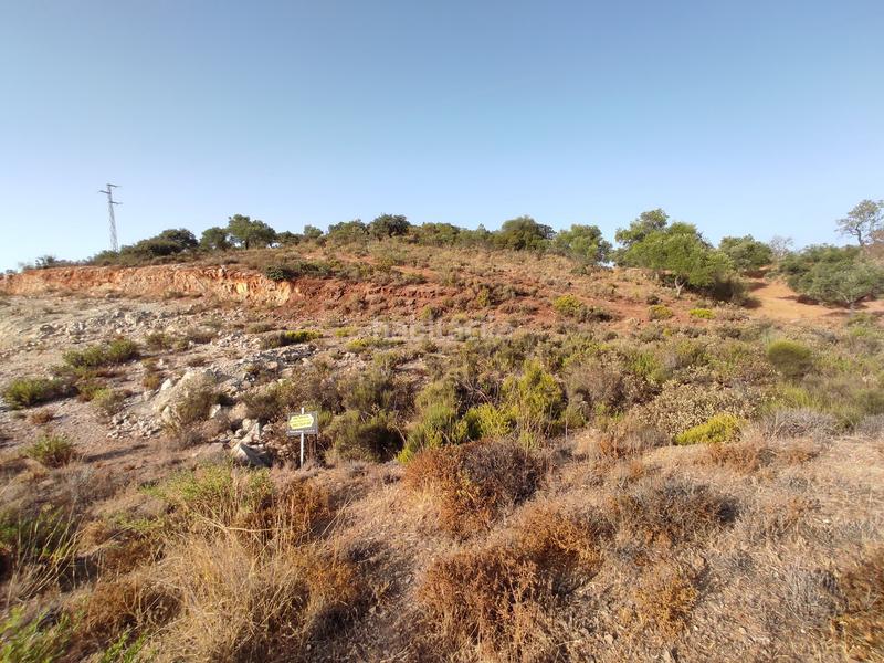 Foto 8491a982-42a0-4833-bba0-fa795482fe2e. Landgut in Almogía