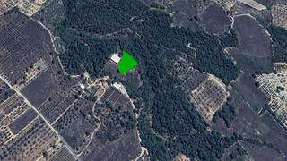 Finca rústica  Partida comuns. Solvia inmobiliaria  suelo rústico ginestar