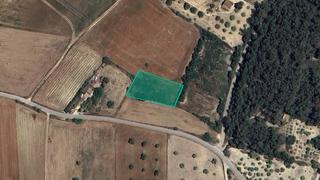 Rural plot  Camino petra. Solvia inmobiliaria  suelo rústico sant joan