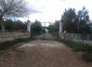 Xalet  C/ son fullana. Solvia inmobiliaria  chalet independiente llucmajor