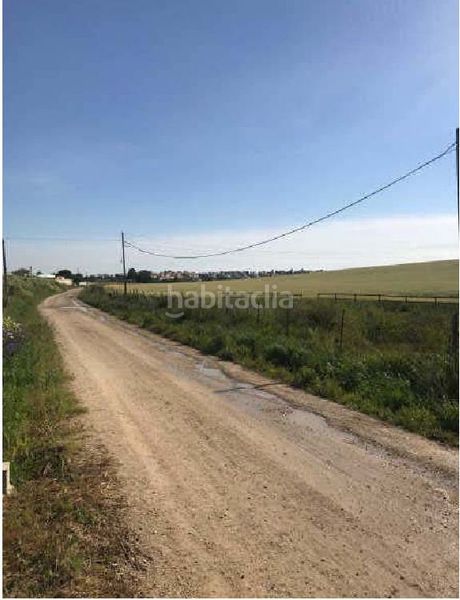 Foto 77c200a1-9e36-4377-bb49-d5e5697f5c82. Finca rústica a Monteolivete-Camino Sevilla Sanlúcar de Barrameda