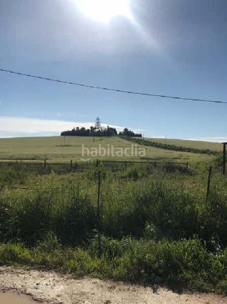 Foto 86fc7b93-96a0-4409-aa38-3c9d0ffe3043. Finca rústica a Monteolivete-Camino Sevilla Sanlúcar de Barrameda