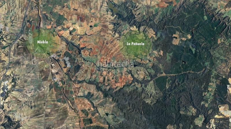 Foto c83585a6-8612-4e3d-a9aa-f2c648002cf9. Landgut in Niebla