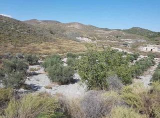 Propriété  Pr/ torrecilla. Solvia inmobiliaria  terreno con edificación lorca