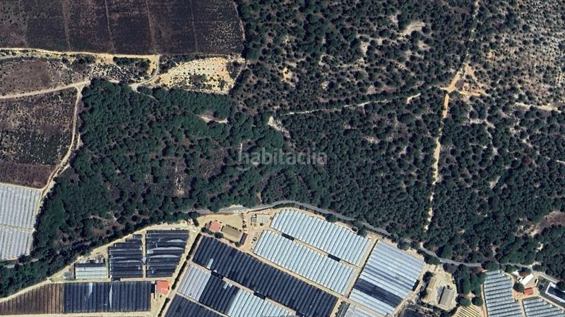 Foto 0d8dce60-4be0-4e9c-8228-d76d0f9be95a. Finca rústica solvia inmobiliaria suelo rústico en Moguer