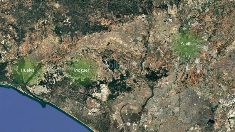 Foto 82f18395-98ce-46d3-8840-15a0b3b27d3c. Finca rústica solvia inmobiliaria suelo rústico en Moguer