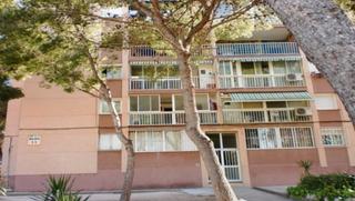 Pis  Av. pallaresos. Solvia inmobiliaria  piso pallaresos els