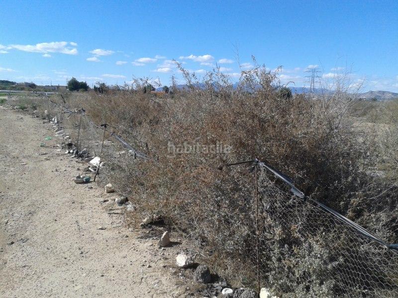 Foto da887a75-37cf-4508-869b-347c72dec6f1. Finca rústica solvia inmobiliaria suelo rústico Sangonera la Seca en Murcia