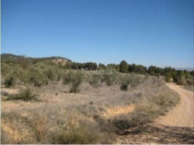 Foto 92094950-2684-4d2a-9487-4cc95d61c3a2. Finca rústica solvia inmobiliaria suelo rústico en Requena