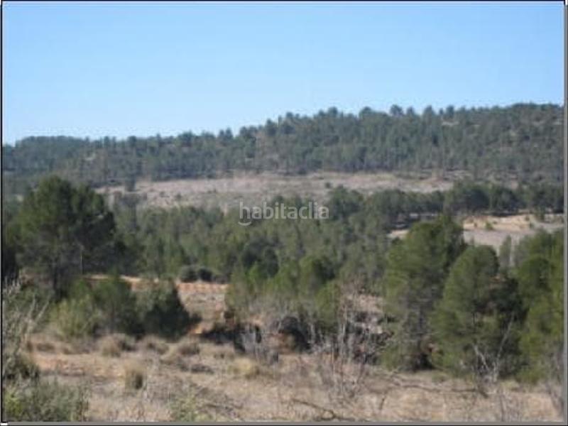 Foto b80724b6-e959-4630-9361-890da3ec9a2c. Finca rústica solvia inmobiliaria suelo rústico en Requena