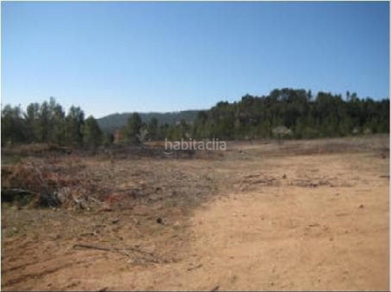 Foto c16003c7-aa91-46f8-b5ce-d76af8fe9e7f. Finca rústica solvia inmobiliaria suelo rústico en Requena