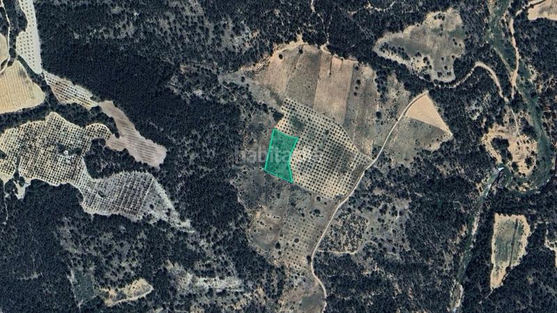 Foto d87bb211-0daf-46e1-a6d6-f4f5435768bd. Finca rústica solvia inmobiliaria suelo rústico en Requena