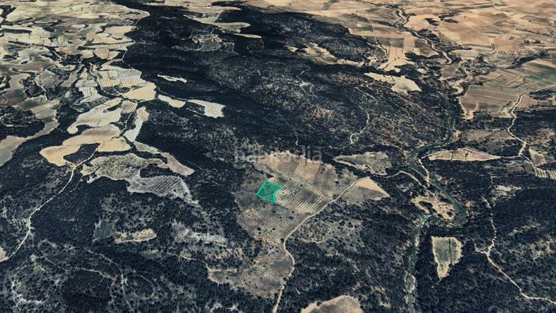 Foto da951833-139a-4f7f-919b-04aaea778348. Finca rústica solvia inmobiliaria suelo rústico en Requena